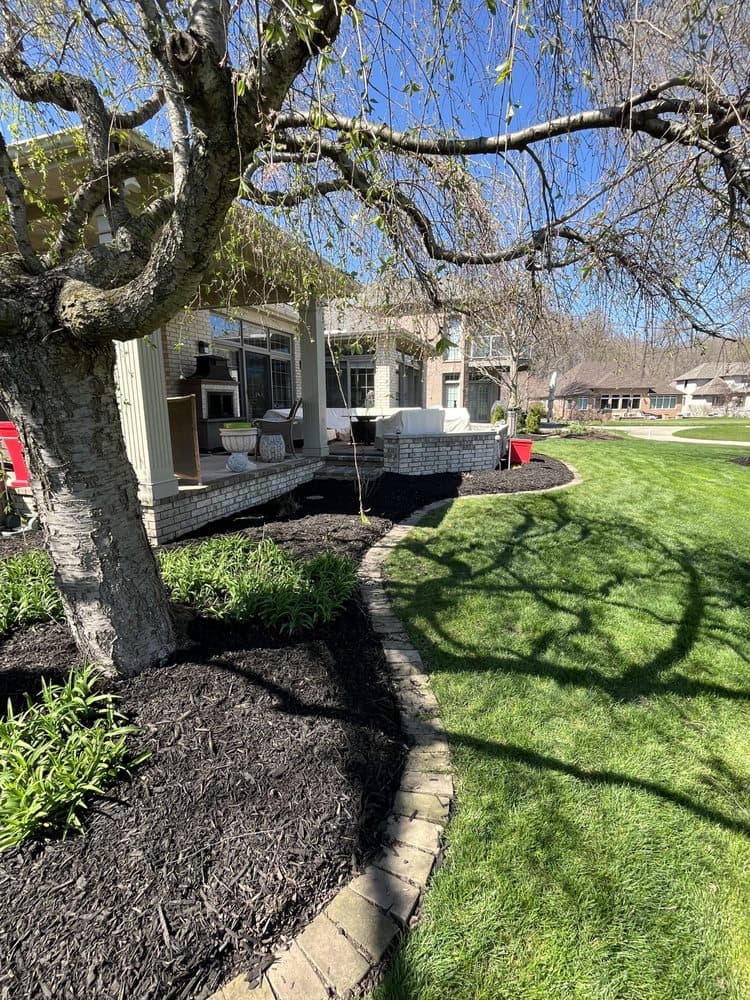 Front Lawn after