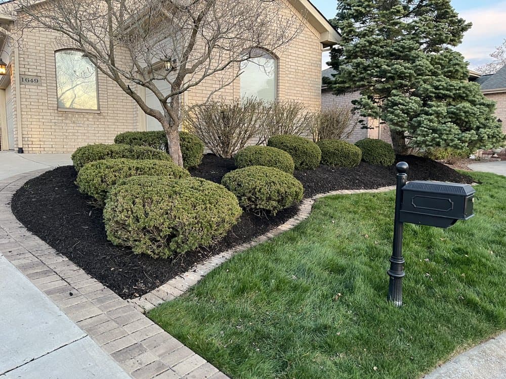 Spring and Fall Cleanups