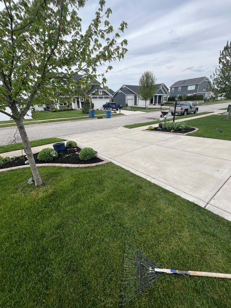 Front Lawn before