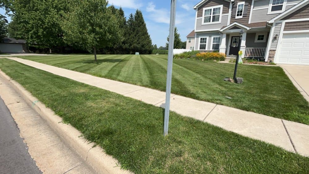Lawn Mowing and Maintenance